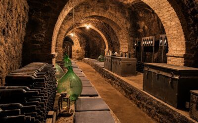 Vendemmia in Umbria: weekend tra vino, borghi e relax vicino Orvieto